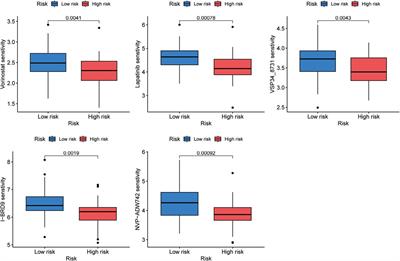 EMT-related gene classifications predict the prognosis, immune infiltration, and therapeutic response of osteosarcoma